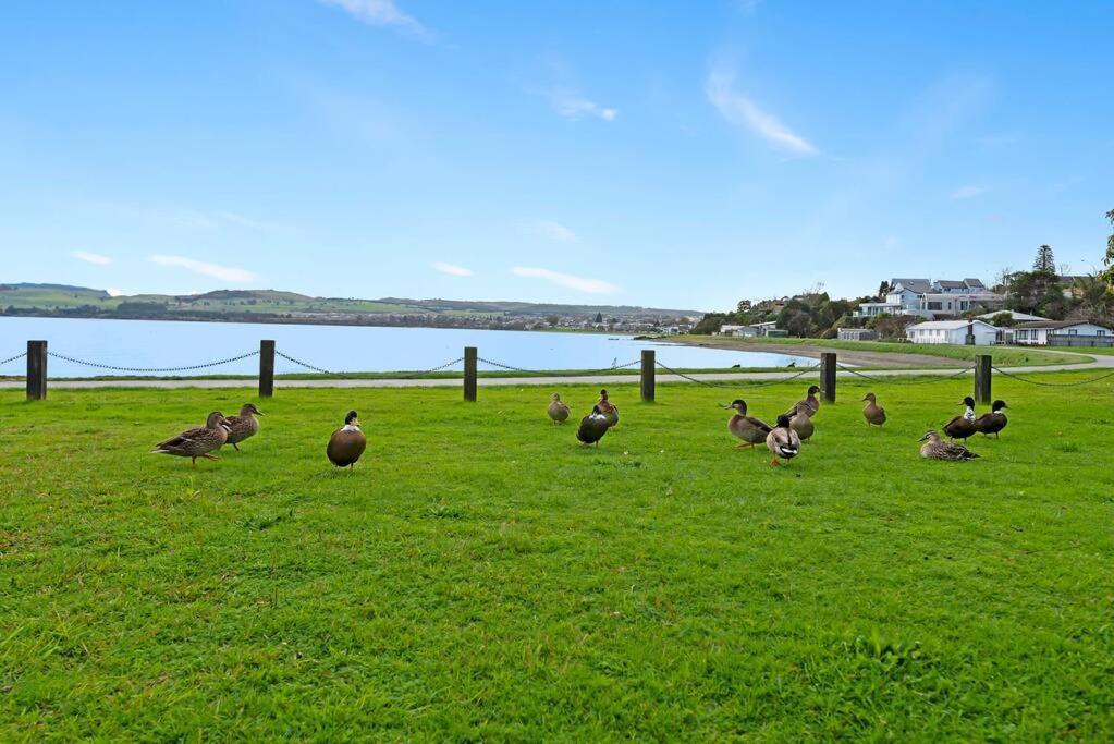 Waimahana - Luxury By The Lake Taupo Exterior foto